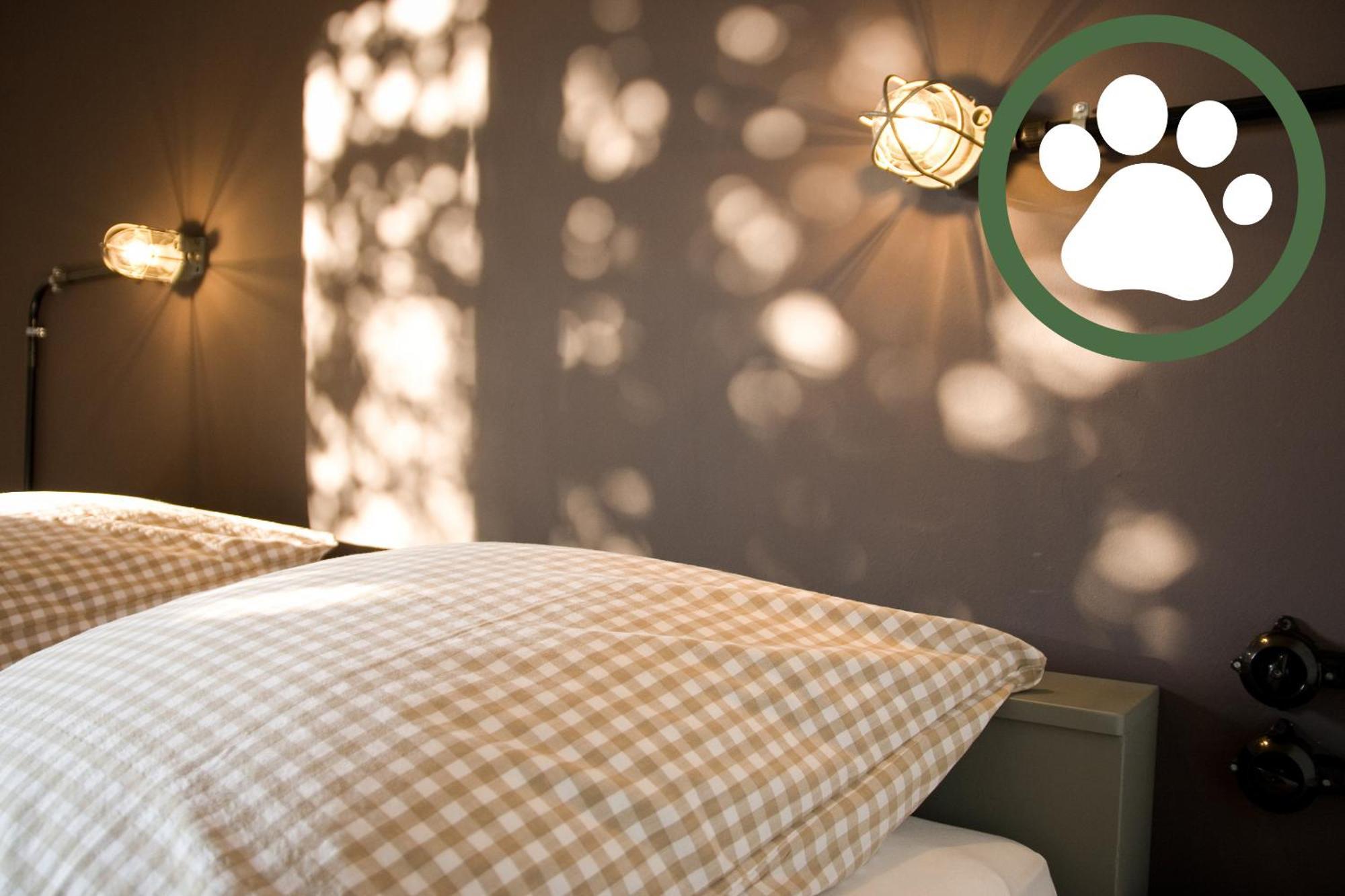 Harz Bnb Werkmeister ซังคท์อันเดรอัสแบร์ก ห้อง รูปภาพ